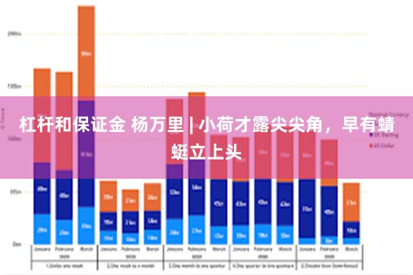 杠杆和保证金 杨万里 | 小荷才露尖尖角，早有蜻蜓立上头