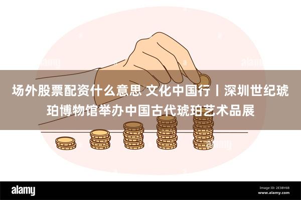 场外股票配资什么意思 文化中国行丨深圳世纪琥珀博物馆举办中国古代琥珀艺术品展