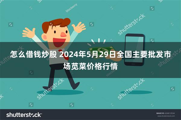 怎么借钱炒股 2024年5月29日全国主要批发市场苋菜价格行情