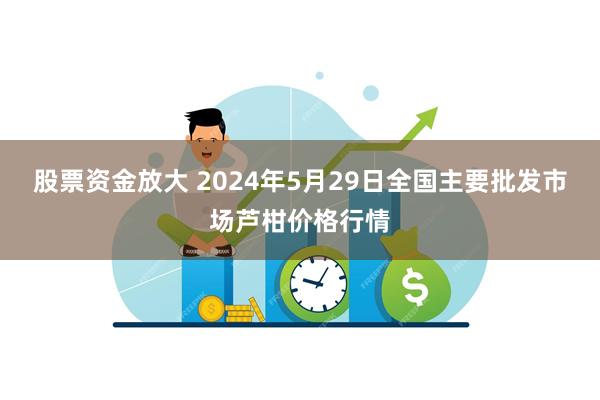 股票资金放大 2024年5月29日全国主要批发市场芦柑价格行情