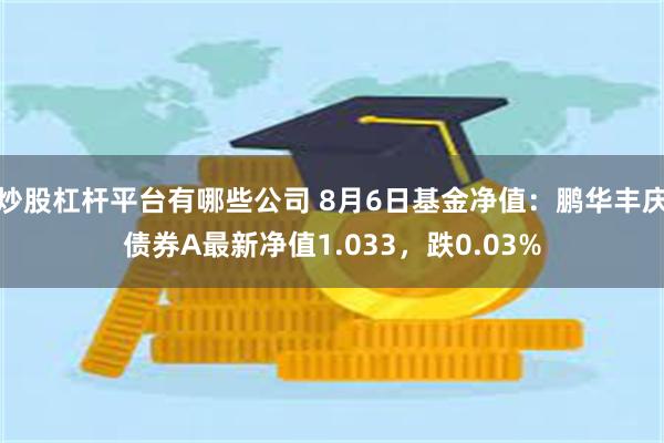 炒股杠杆平台有哪些公司 8月6日基金净值：鹏华丰庆债券A最新净值1.033，跌0.03%