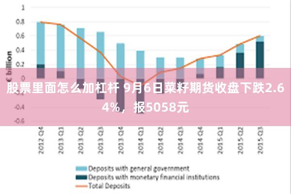 股票里面怎么加杠杆 9月6日菜籽期货收盘下跌2.64%，报5058元