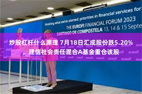 炒股杠杆什么原理 7月18日汇成股份跌5.20%，建信社会责任混合A基金重仓该股