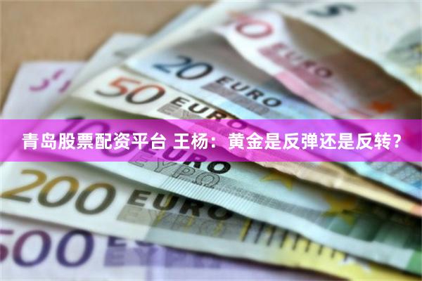 青岛股票配资平台 王杨：黄金是反弹还是反转？