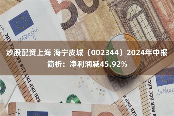 炒股配资上海 海宁皮城（002344）2024年中报简析：净利润减45.92%