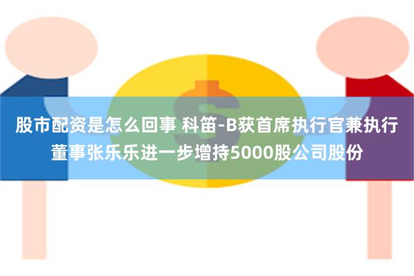 股市配资是怎么回事 科笛-B获首席执行官兼执行董事张乐乐进一步增持5000股公司股份