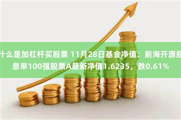 什么是加杠杆买股票 11月28日基金净值：前海开源股息率100强股票A最新净值1.6235，跌0.61%